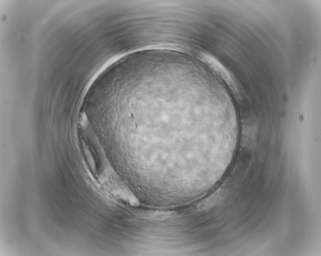 X0000087531284200705112022