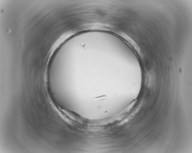 X0000087531285200705112022