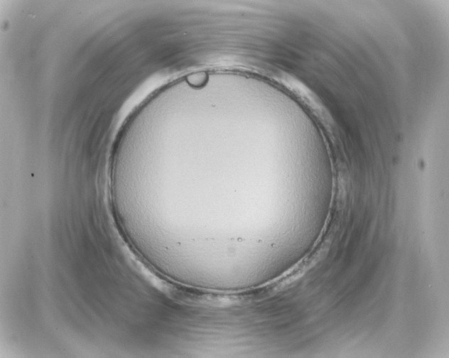 X0000087531286200705112022