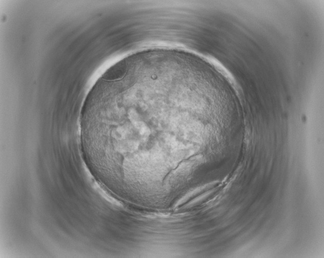 X0000087531287200705112022