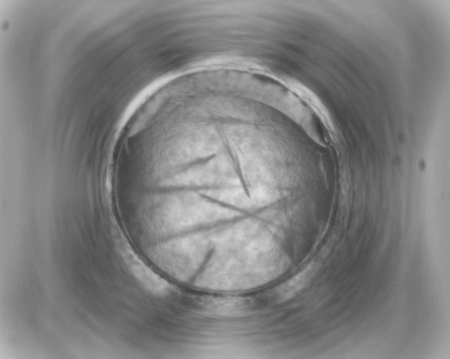 X0000087531288200705112022