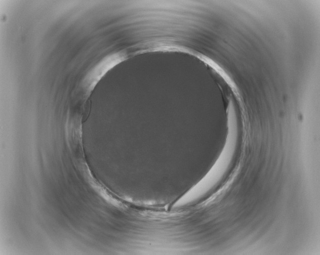 X0000087531289200705112022