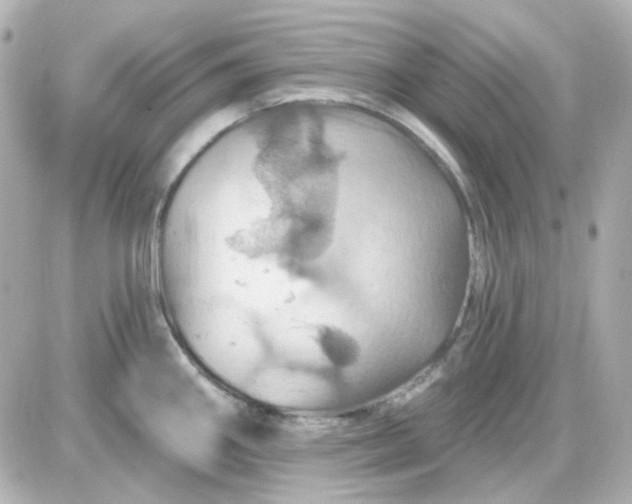 X0000087531290200705112022