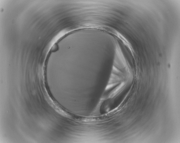 X0000087531291200705112022