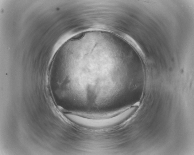 X0000087531292200705112022