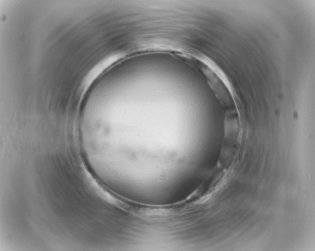 X0000087531293200705112022