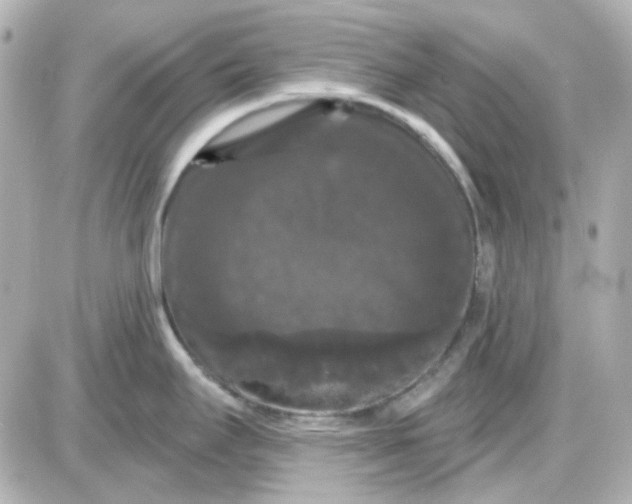 X0000087531295200705112022