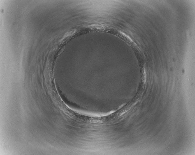 X0000087531297200705112021