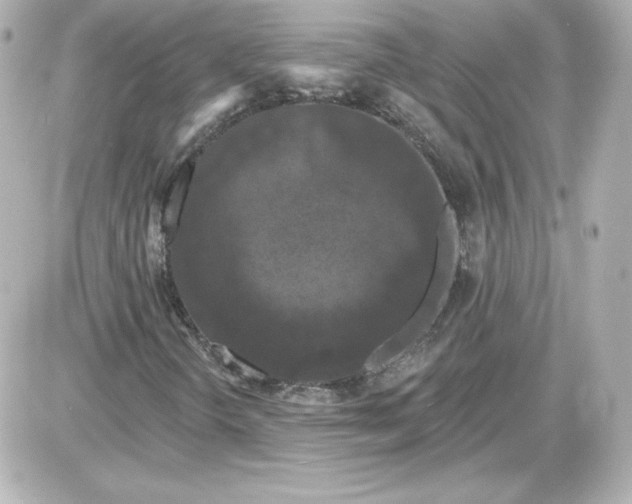 X0000087531298200705112021