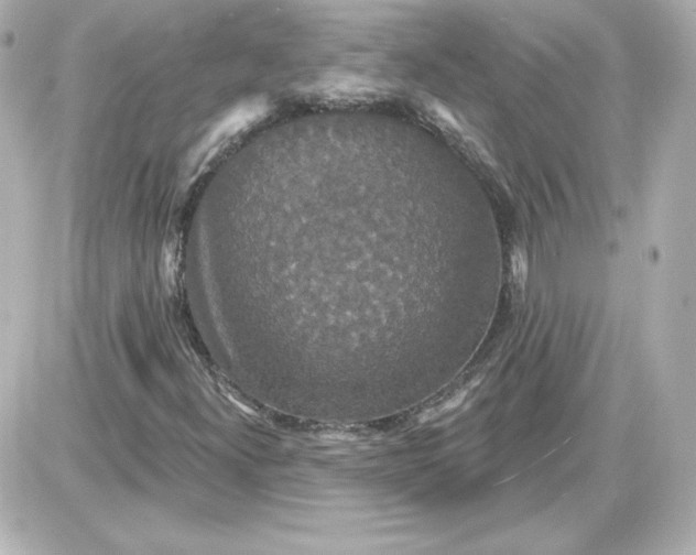 X0000087531300200705112021