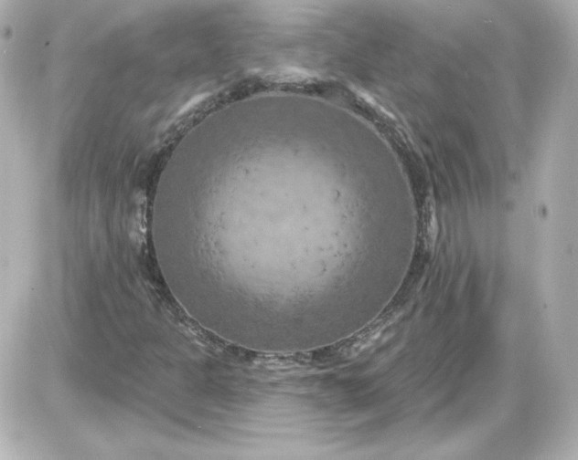 X0000087531301200705112021