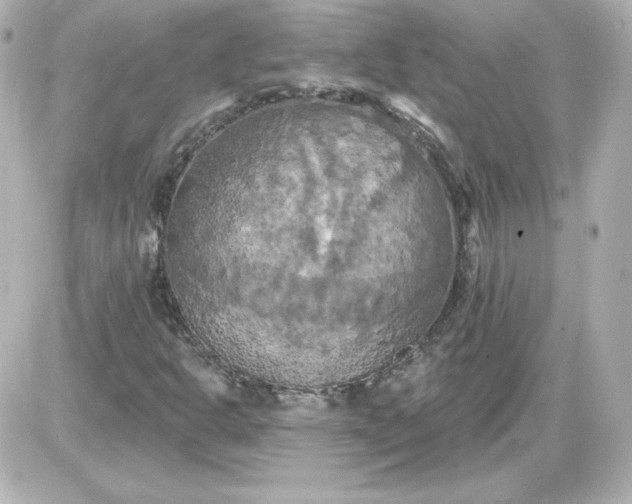 X0000087531302200705112021