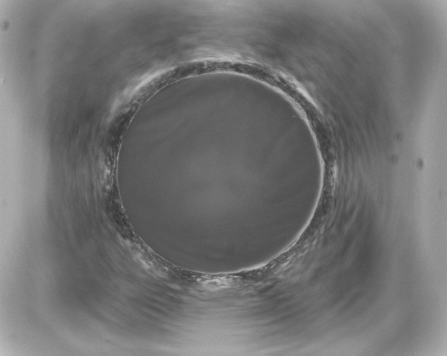 X0000087531303200705112021