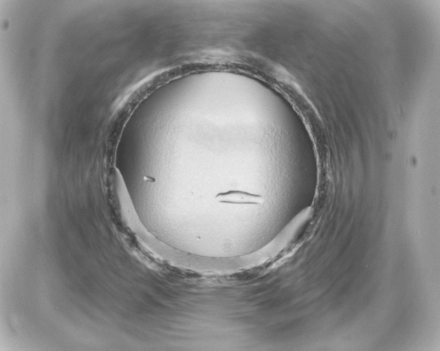 X0000087531304200705112021