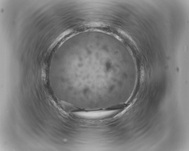 X0000087531305200705112021