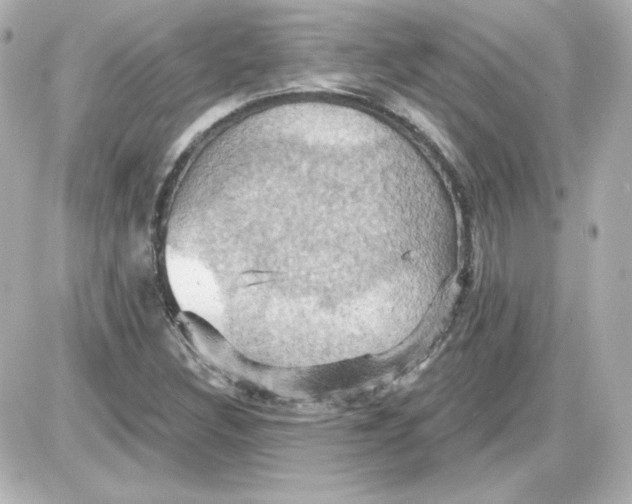 X0000087531308200705112021