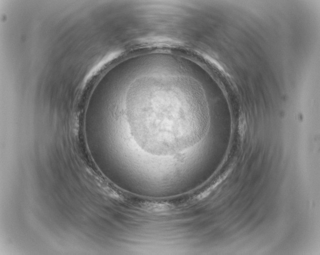 X0000087531309200705112021