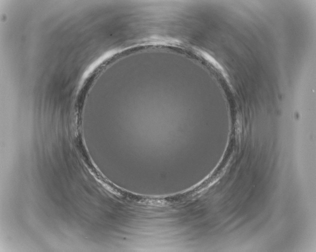 X0000087531310200705112021