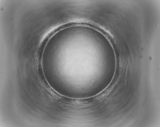 X0000087531311200705112021