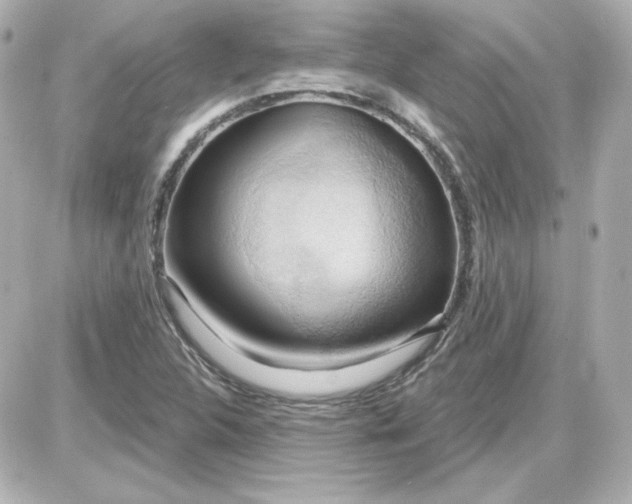 X0000087531312200705112021