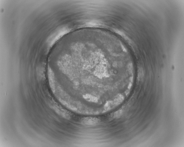 X0000087531314200705112021