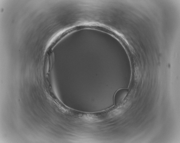 X0000087531319200705112021