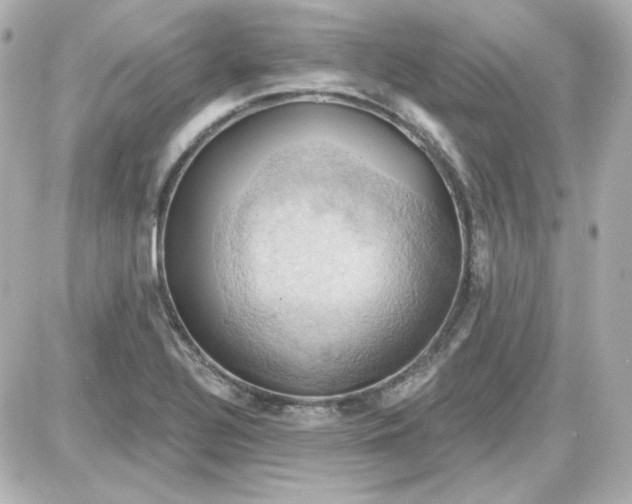 X0000087531320200705112021