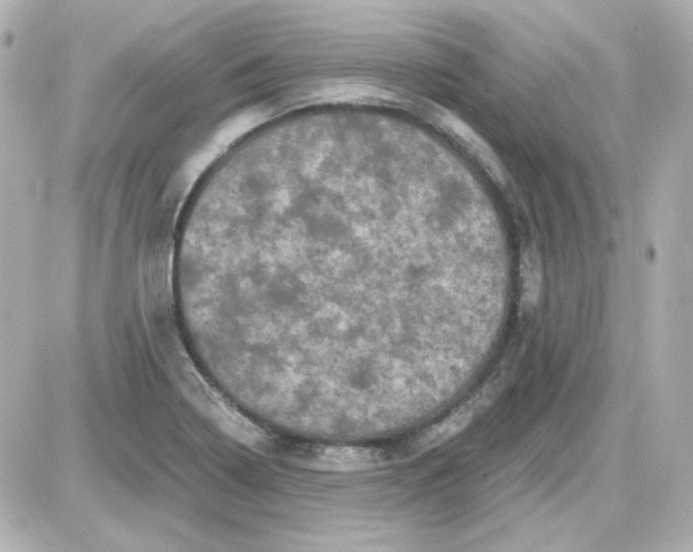 X0000087531322200705112021