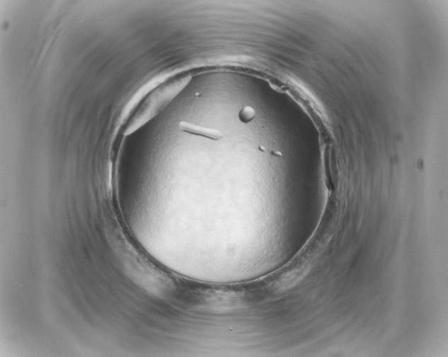 X0000087531324200705112021