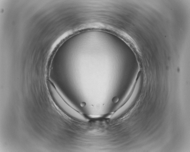 X0000087531326200705112021