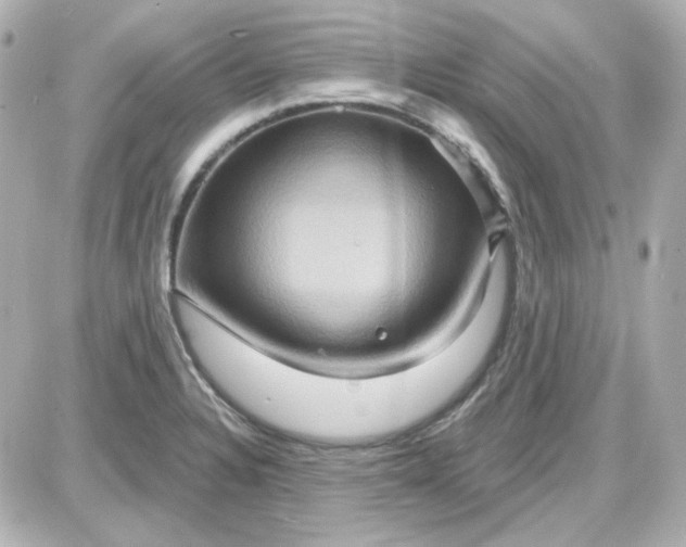 X0000087531328200705112021