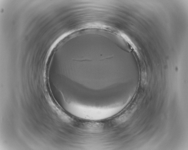 X0000087531331200705112021