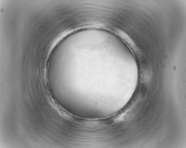 X0000087531332200705112022