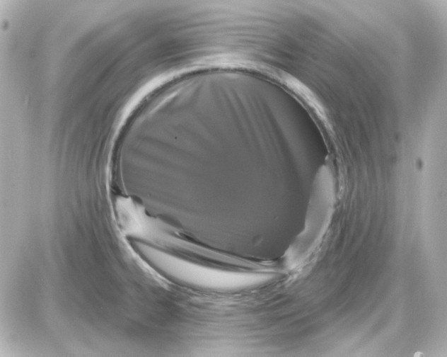 X0000087531334200705112022