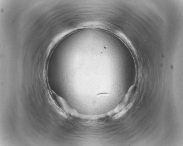 X0000087531336200705112022