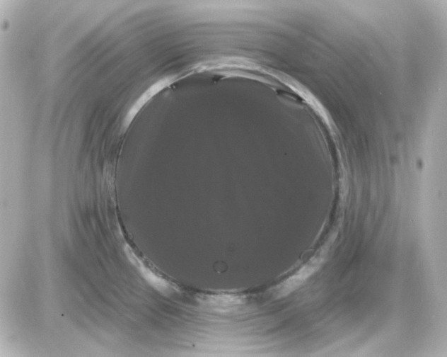 X0000087531337200705112022