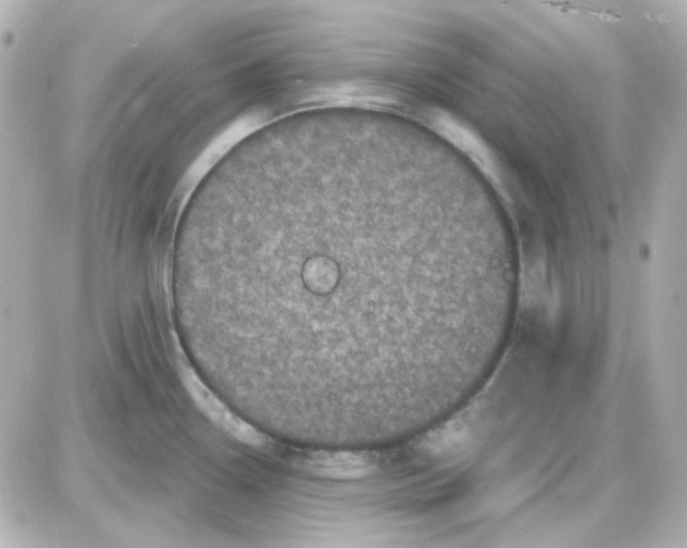 X0000087531338200705112022