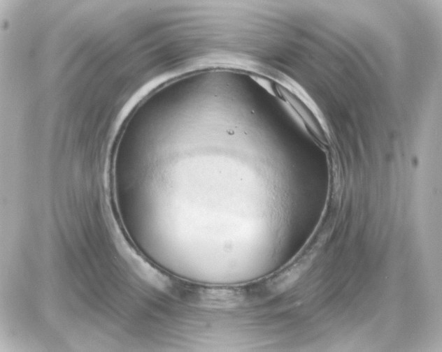 X0000087531339200705112022