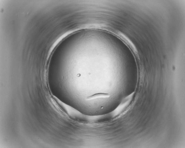 X0000087531340200705112022