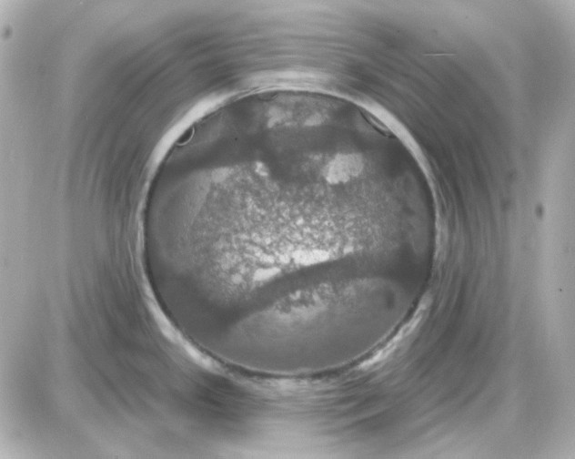 X0000087531341200705112022