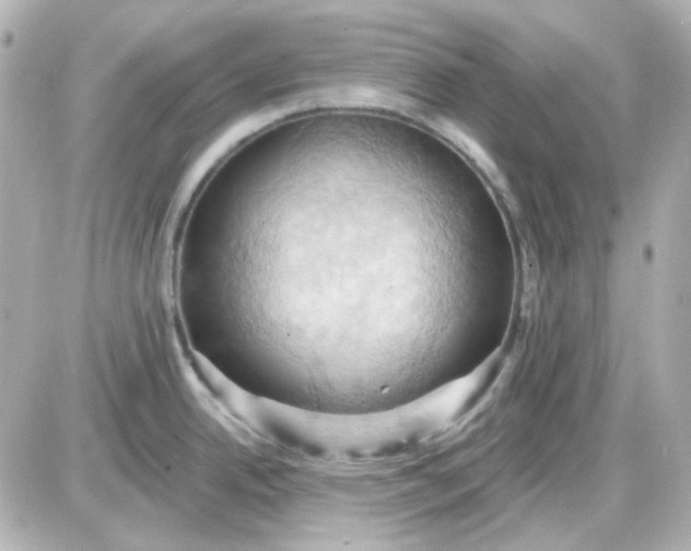 X0000087531342200705112022