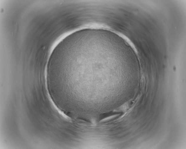 X0000087531343200705112022