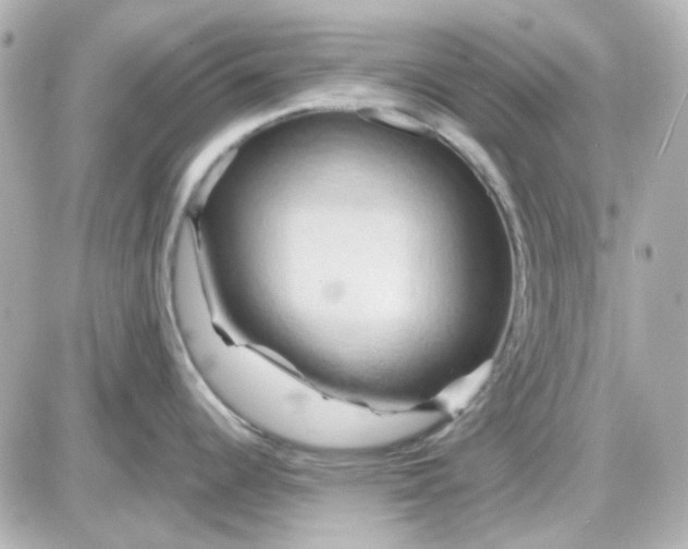 X0000087531344200705112022