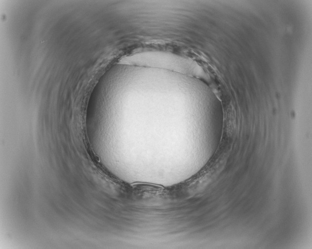 X0000087531345200705112021