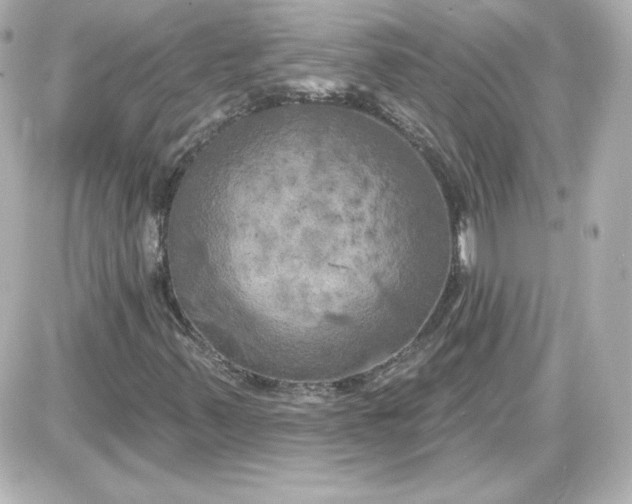 X0000087531347200705112021