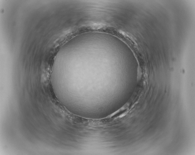 X0000087531349200705112021