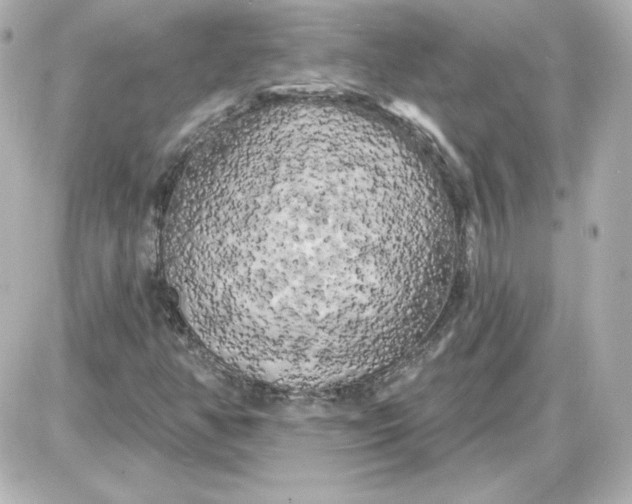 X0000087531350200705112021