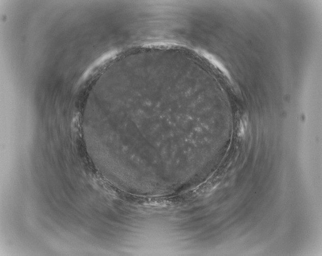 X0000087531351200705112021