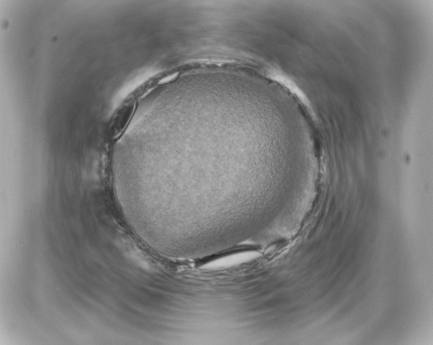 X0000087531352200705112021