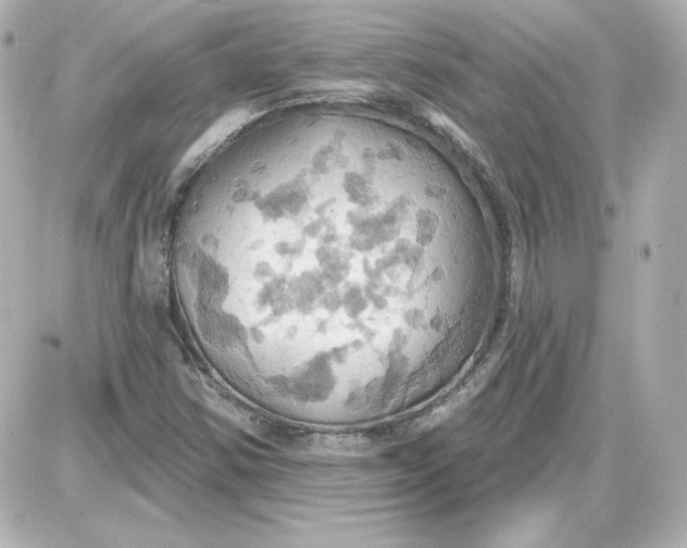 X0000087531354200705112021